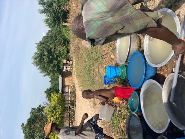 Kokosschalen-Sammlung in Ghana