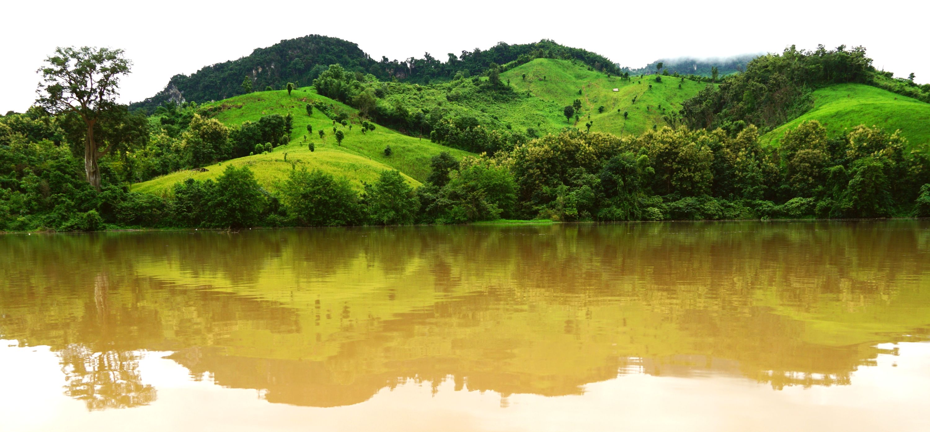 Kokosschalen-Sammlung in Ghana